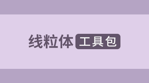 默认计划 