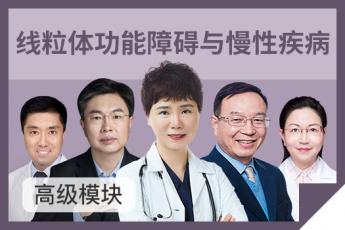 线粒体功能障碍与慢性疾病